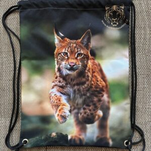 Stahovací batoh na záda - Letní