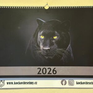 Kalendář 2026 A3 nástěnný