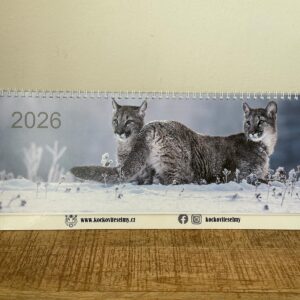 Kalendář 2026 stolní plánovací