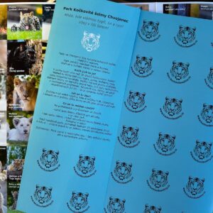 Pexeso velké (2025)